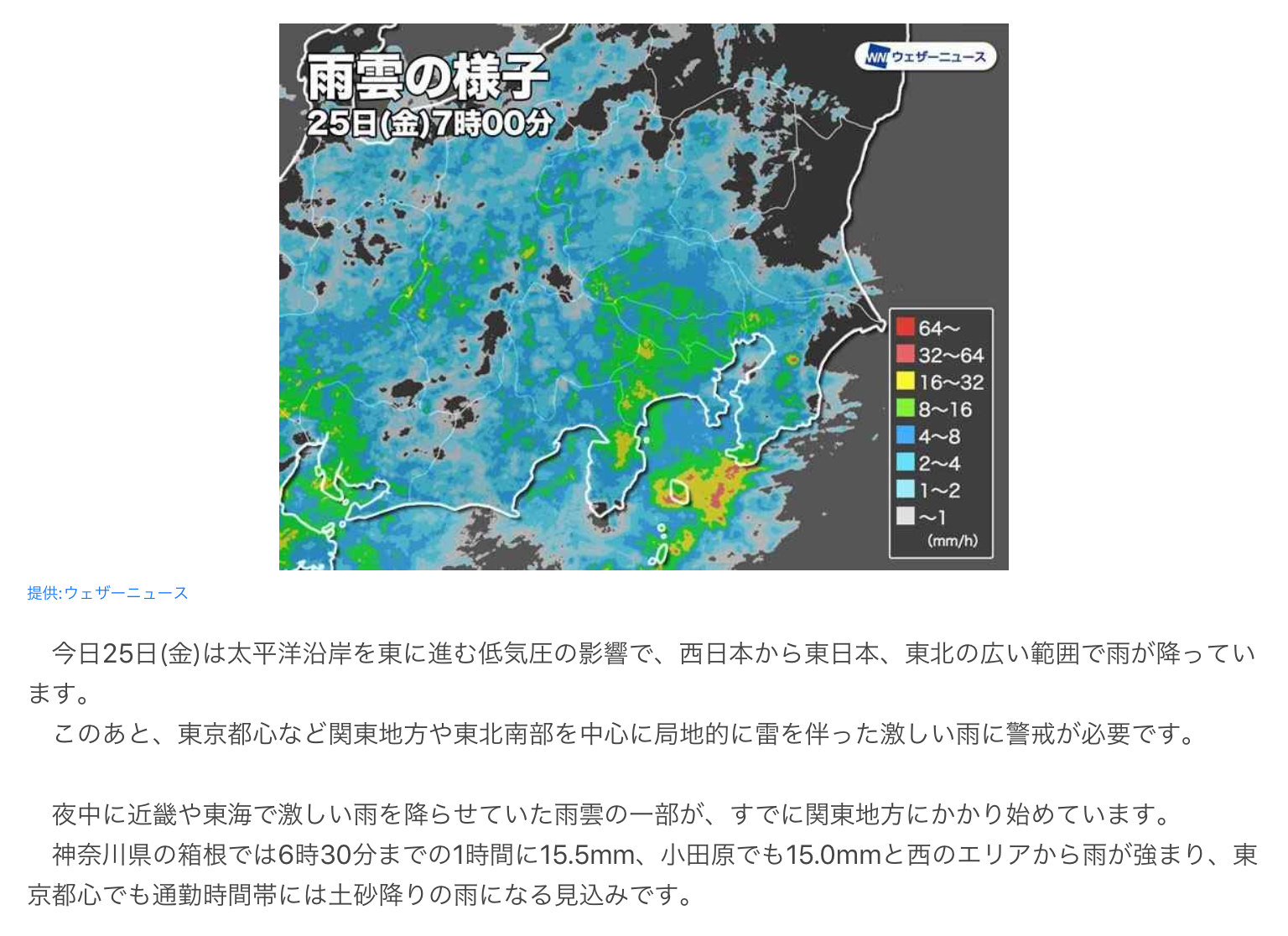 大雨…☔️