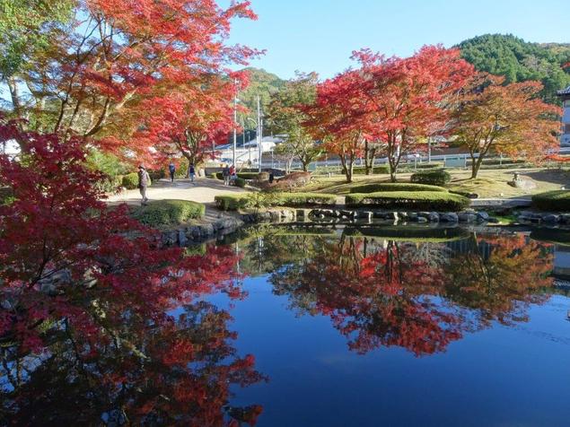 紅葉を見にいきたい🍁  IN GIFU